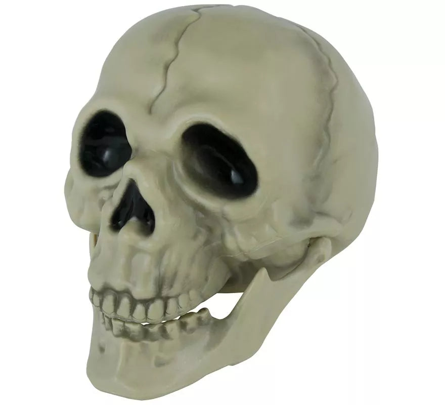 Translation missing: es.Calavera de 13 cm