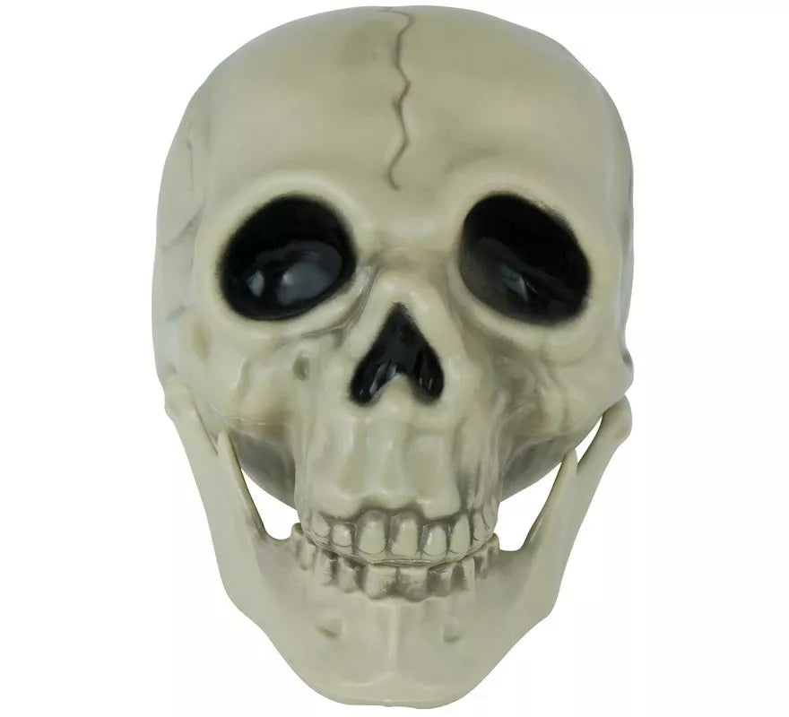 Translation missing: es.Calavera de 13 cm