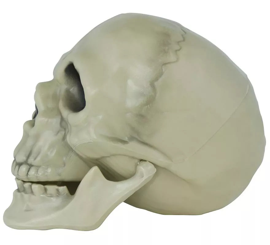 Translation missing: es.Calavera de 13 cm