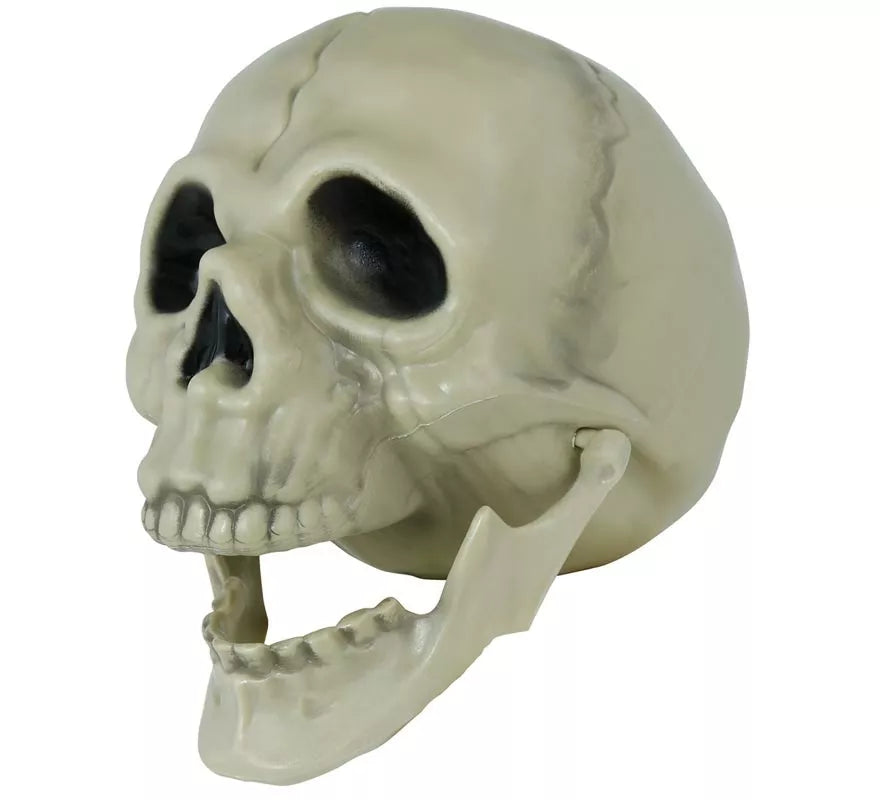 Translation missing: es.Calavera de 13 cm