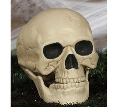 Calavera de 20 Cm
