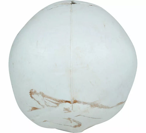 Calavera de 22 cm