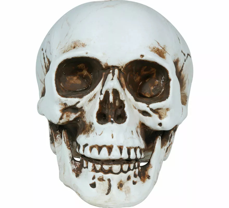 Translation missing: es.Calavera de 22 cm
