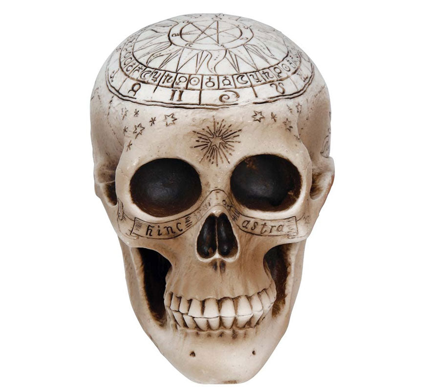 Translation missing: es.Calavera de Espiritismo de 20 cm