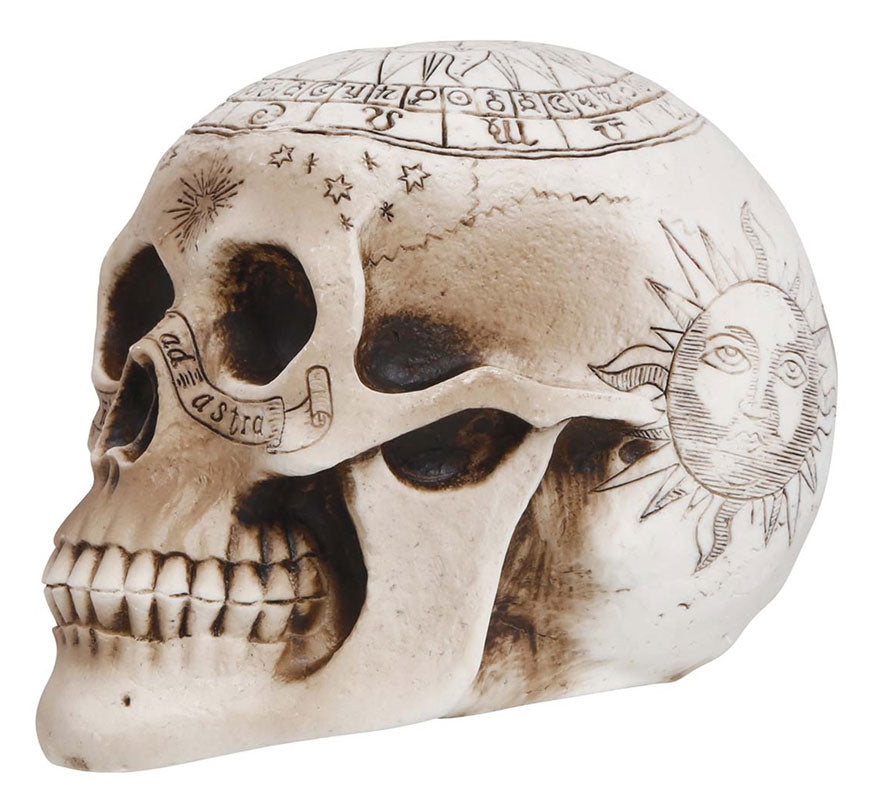 Calavera de Espiritismo de 20 cm