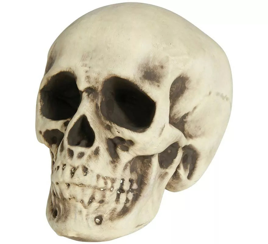 Translation missing: es.Calavera de Foam 20 cm