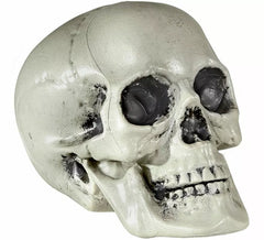 Calavera de PVC de 21 cm