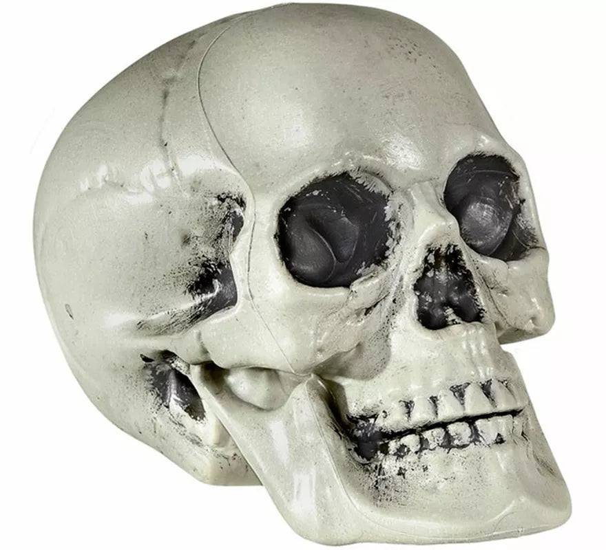 Translation missing: es.Calavera de PVC de 21 cm