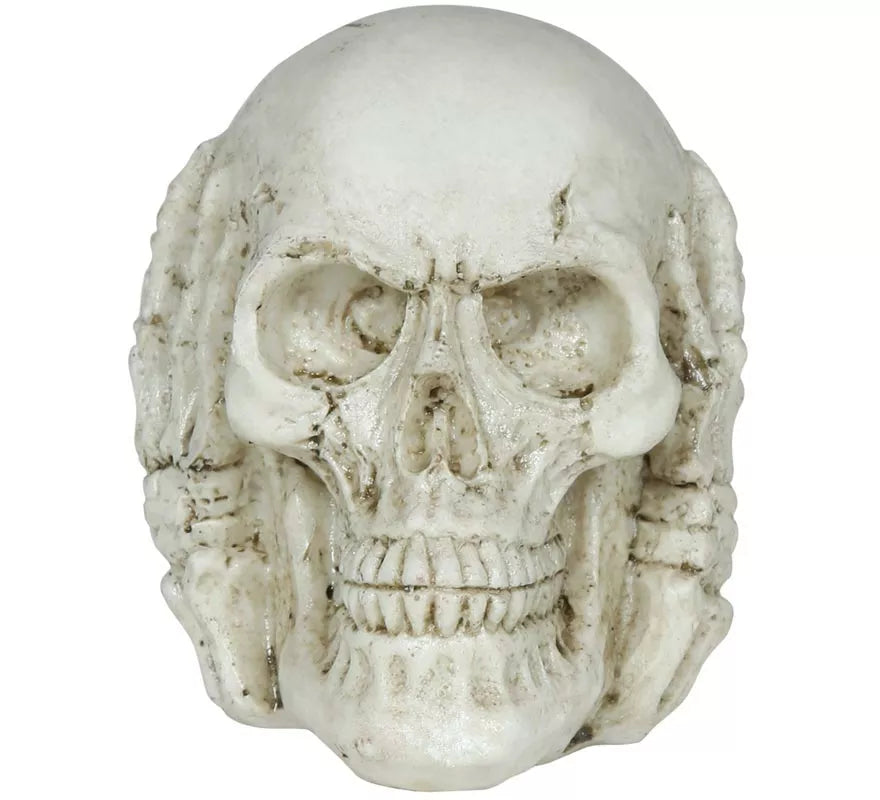 Translation missing: es.Calavera de Resina de 6 cm