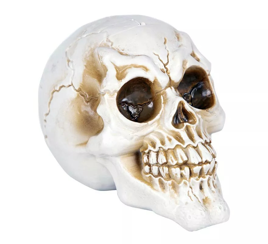 Calavera Desgastada feliz de 11,50x17x12,50 cm
