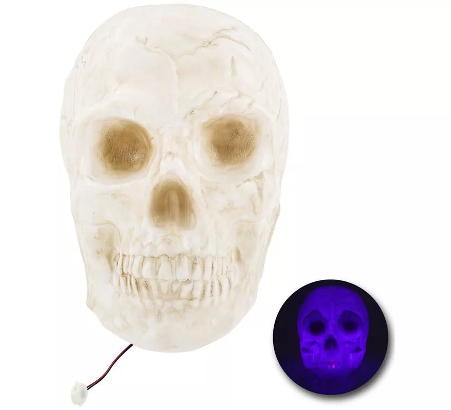 Translation missing: es.Calavera Grande con Luz de 25x30x30 cm