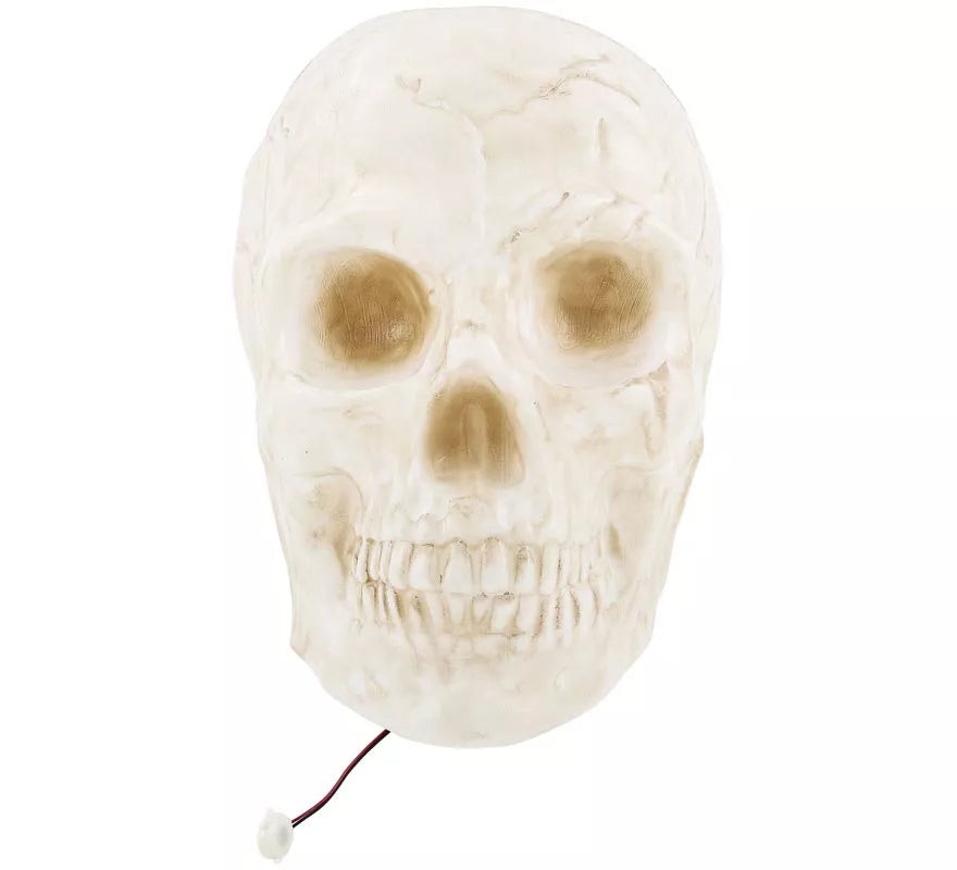 Translation missing: es.Calavera Grande con Luz de 25x30x30 cm