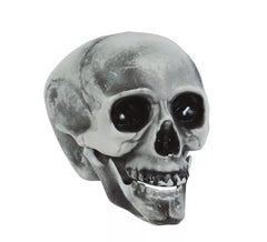 Calavera PVC 20 cms