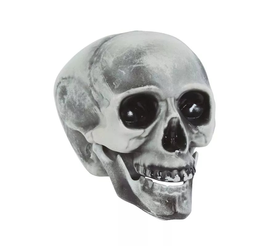 Translation missing: es.Calavera PVC 20 cms
