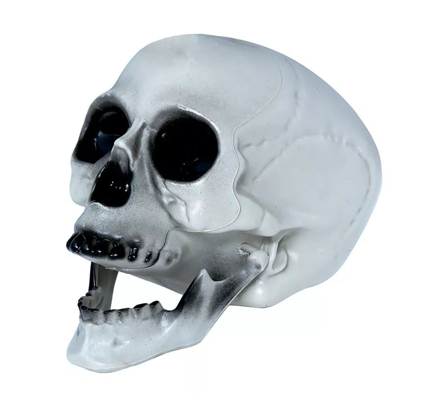 Translation missing: es.Calavera PVC 20 cms
