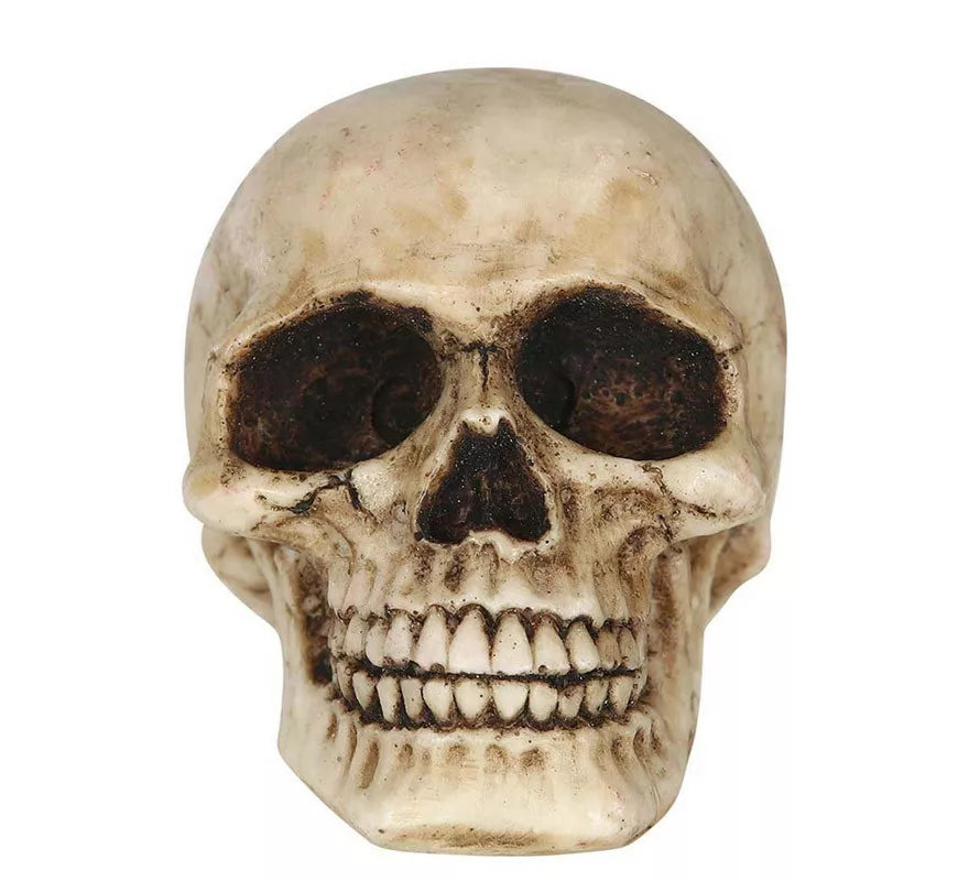 Translation missing: es.Calavera Resina de 8 cm