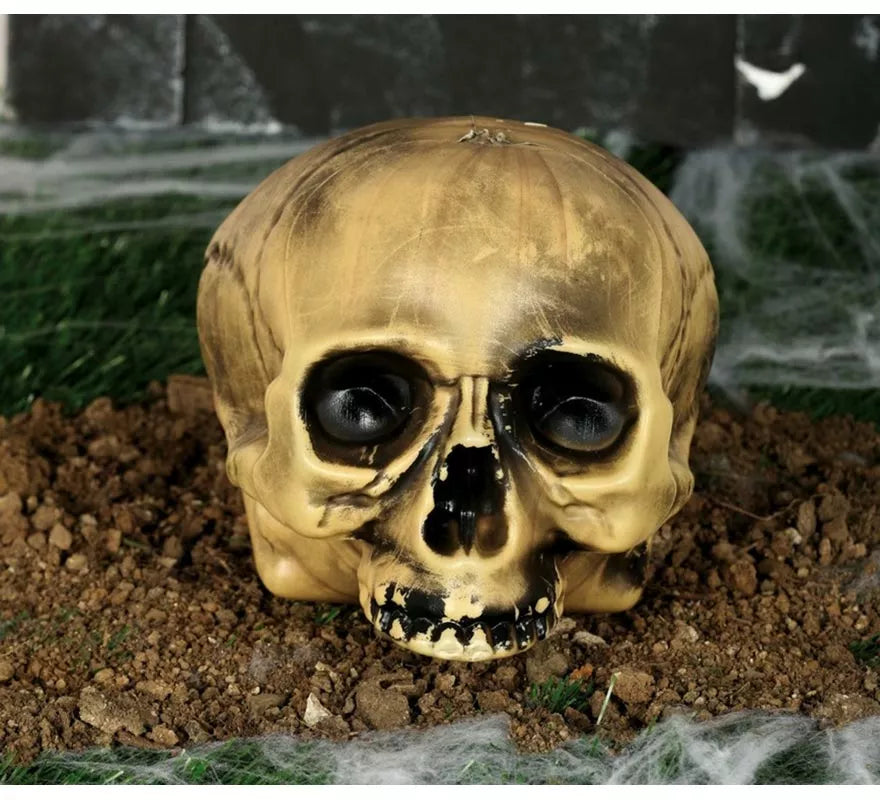 Translation missing: es.Calavera sin Mentón 20 cm