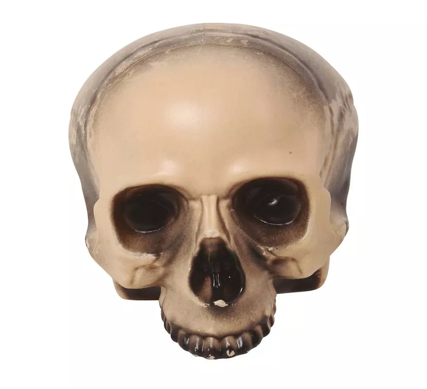 Translation missing: es.Calavera sin Mentón 20 cm