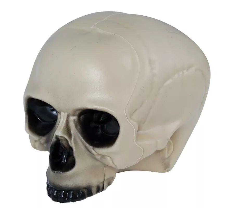 Translation missing: es.Calavera sin Mentón 20 cm