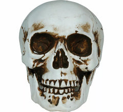 Calavera Sombras de 20 cm