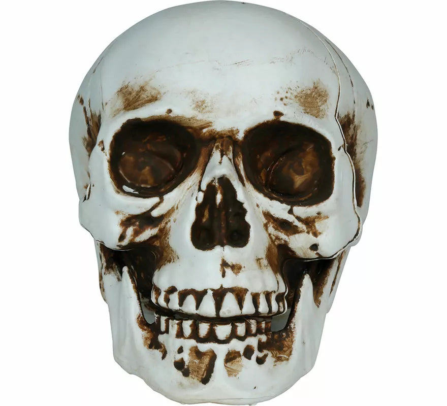 Translation missing: es.Calavera Sombras de 20 cm