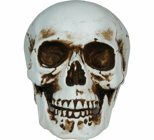 Calavera Sombras de 20 cm