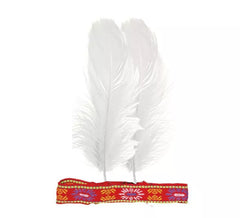 Cinta de Plumas colores surtidos para India