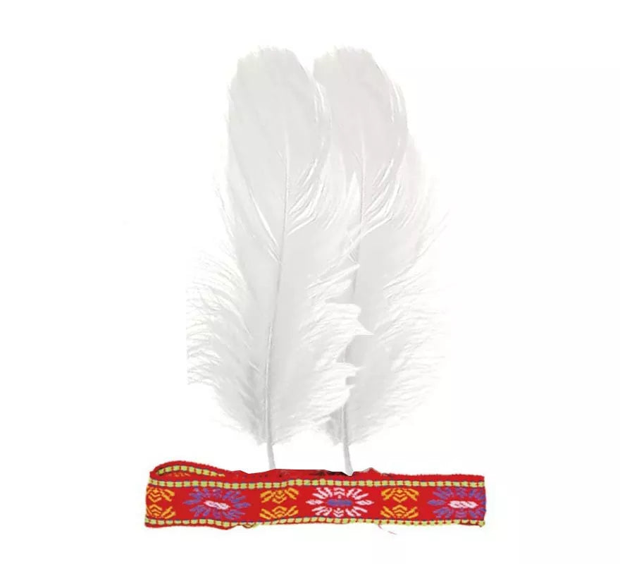 Translation missing: es.Cinta de Plumas colores surtidos para India