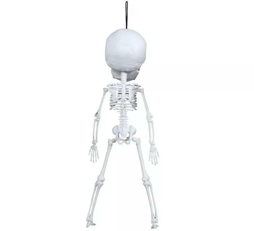 Colgante de Esqueleto Cabezón de 40 cm