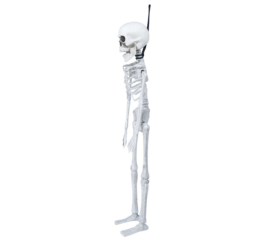 Colgante Esqueleto 40 Cm