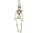 Colgante Esqueleto 40 Cm
