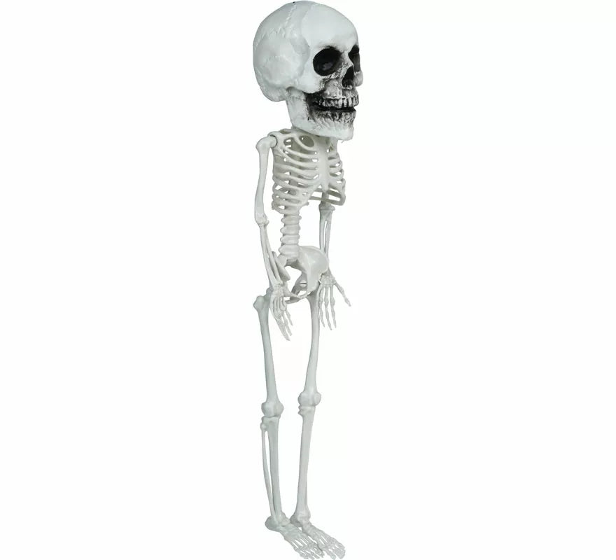 Colgante Esqueleto Cabezón de 40 cm
