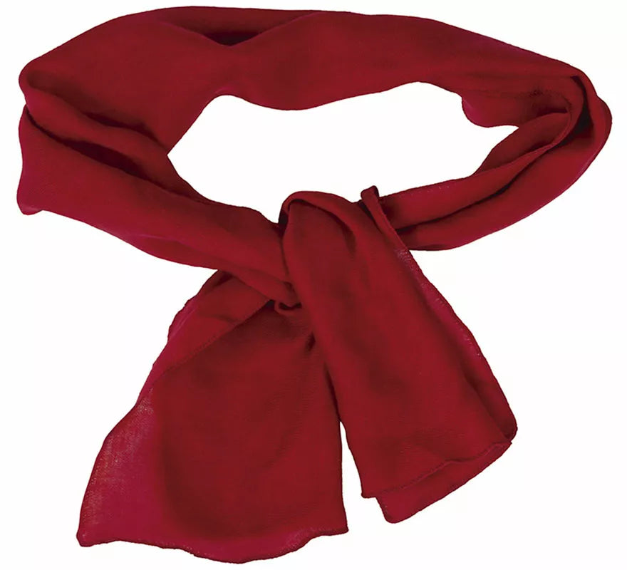 Conjunto de Pirata: Pañuelo y Faja