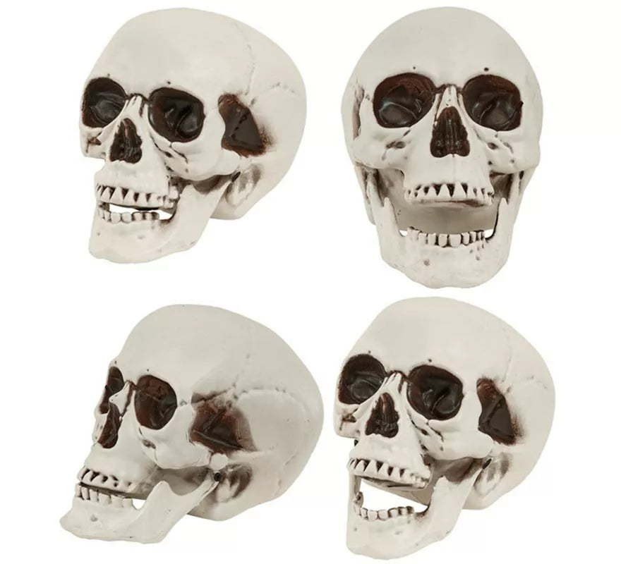 Translation missing: es.Cráneo o Calavera con Mandíbula Móvil de 28 cm