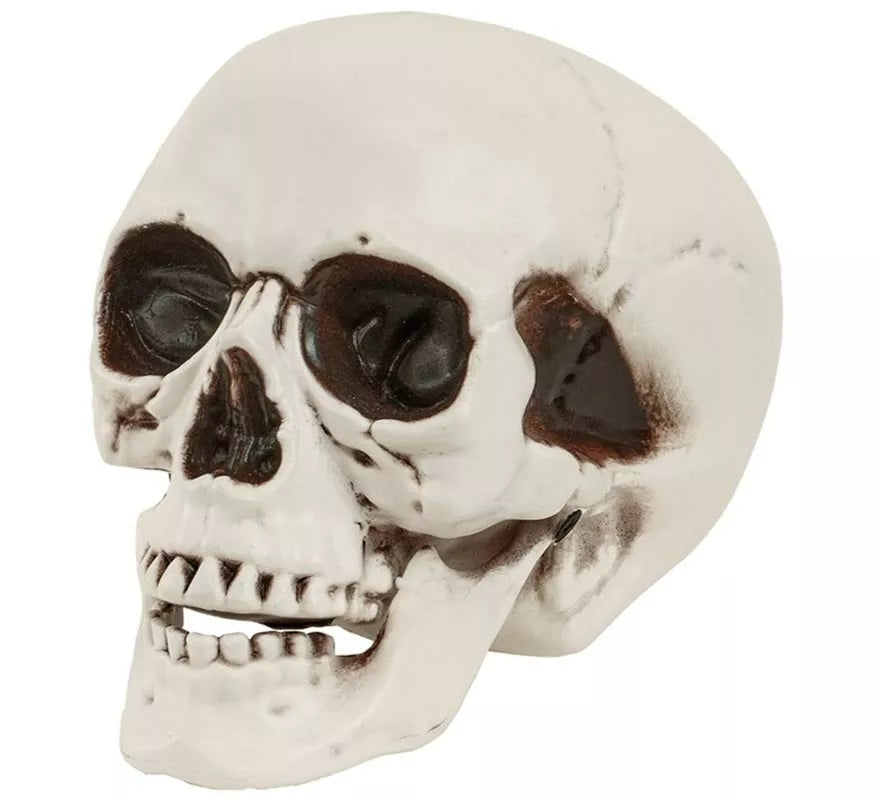 Translation missing: es.Cráneo o Calavera con Mandíbula Móvil de 28 cm