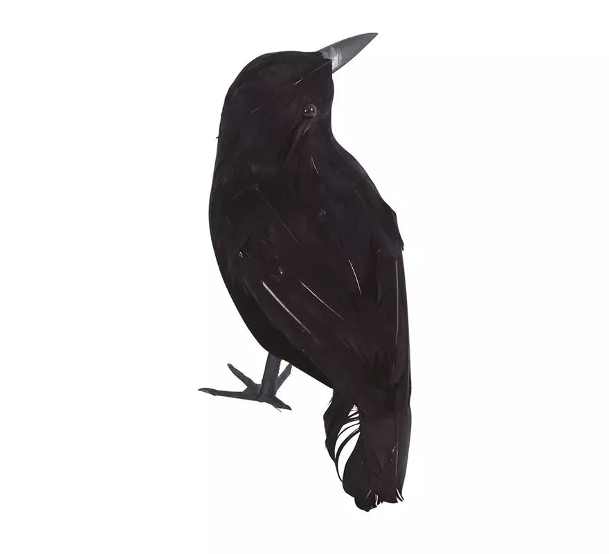 Translation missing: es.Cuervo Negro 25 cm