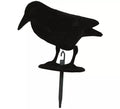 Cuervo negro 30 cm