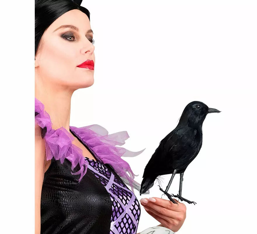 Translation missing: es.Cuervo negro con Plumas