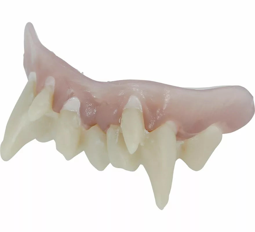 Dentadura de Nosferatu con Resina Termoplástica
