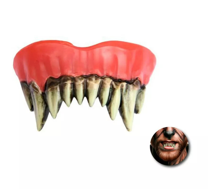 Dentadura Superior de Hombre lobo adulto