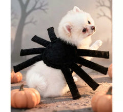 Disfraz de Araña con patas para perro