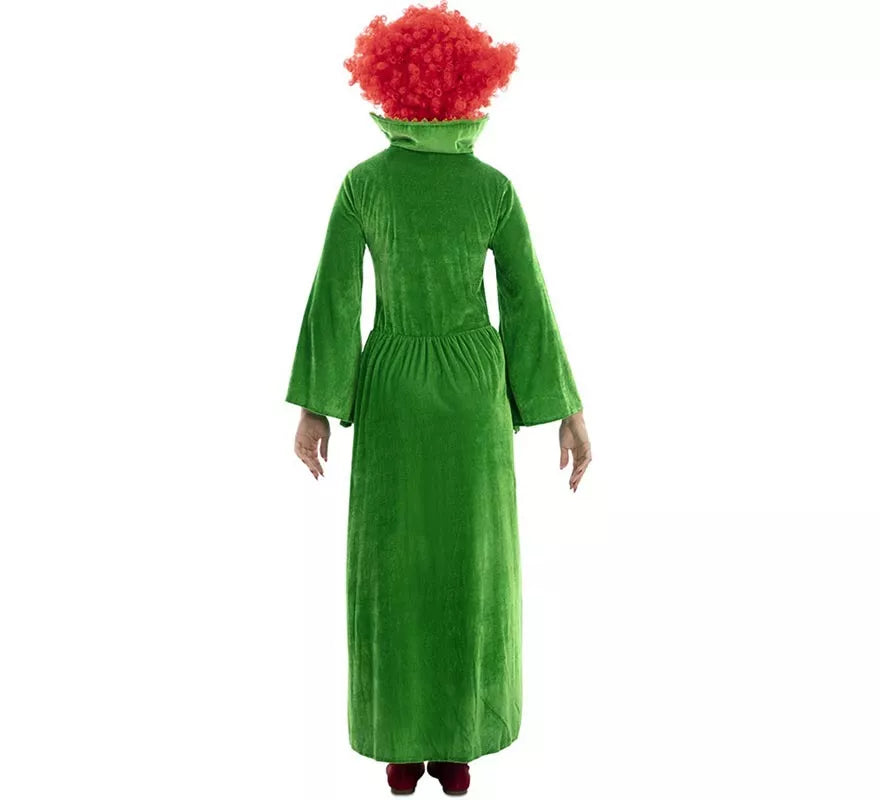 Translation missing: es.Disfraz de Bruja verde para mujer