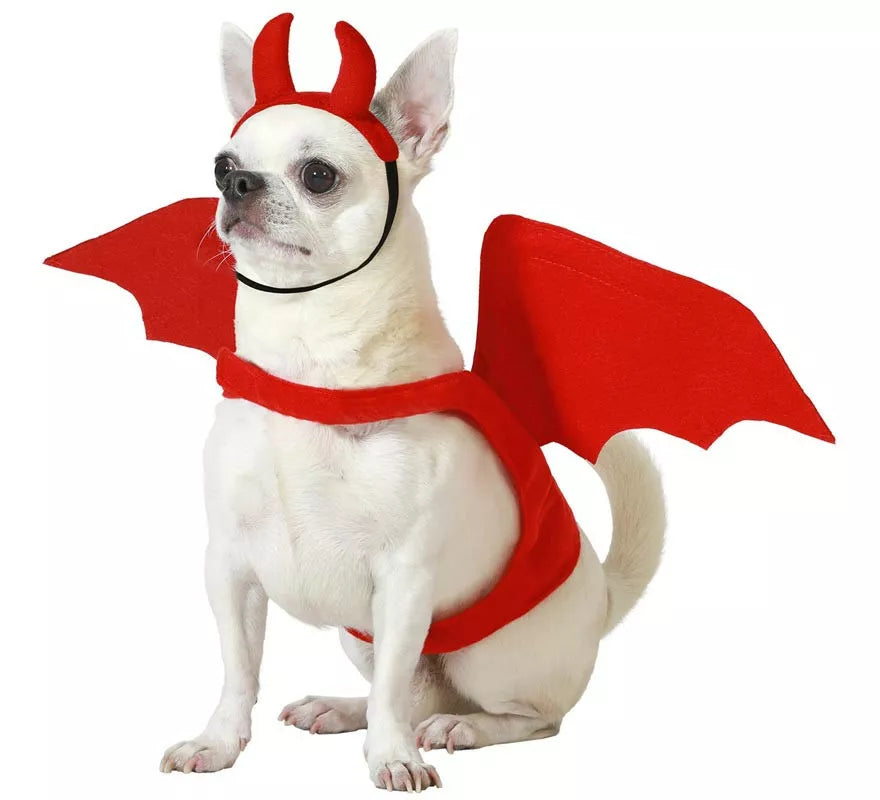 Translation missing: es.Disfraz de Demonio Alado con cuernos para perro