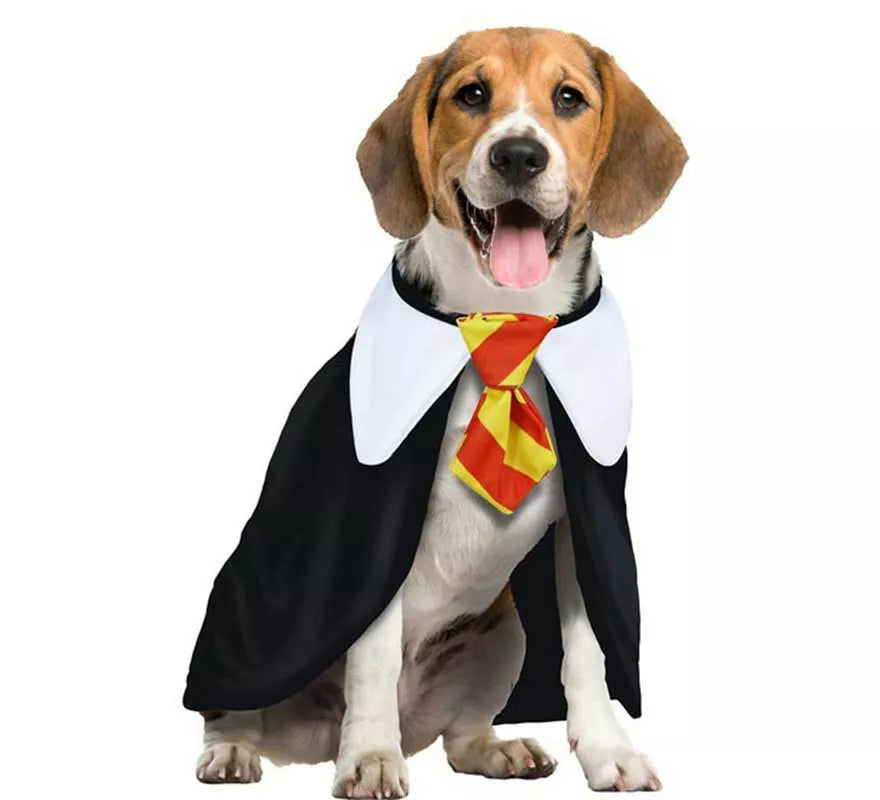 Translation missing: es.Disfraz de Estudiante de Magia para perro
