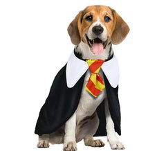 Disfraz de Estudiante de Magia para perro