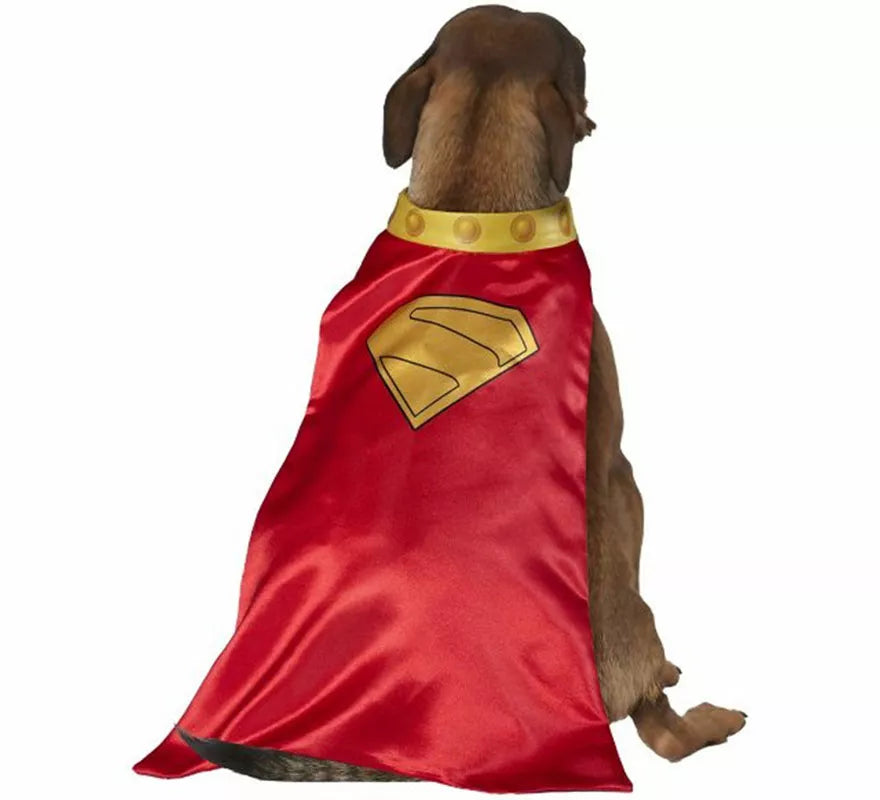 Translation missing: es.Disfraz de Krypto Superman para perro