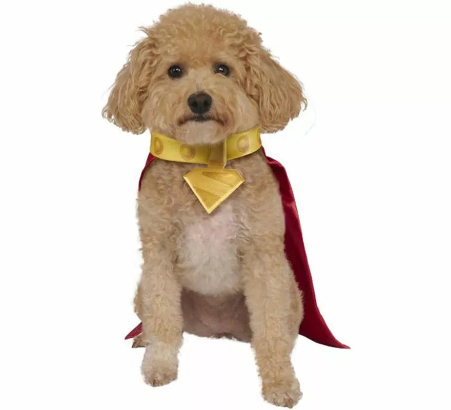 Translation missing: es.Disfraz de Krypto Superman para perro