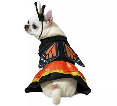 Disfraz de Mariposa para perro