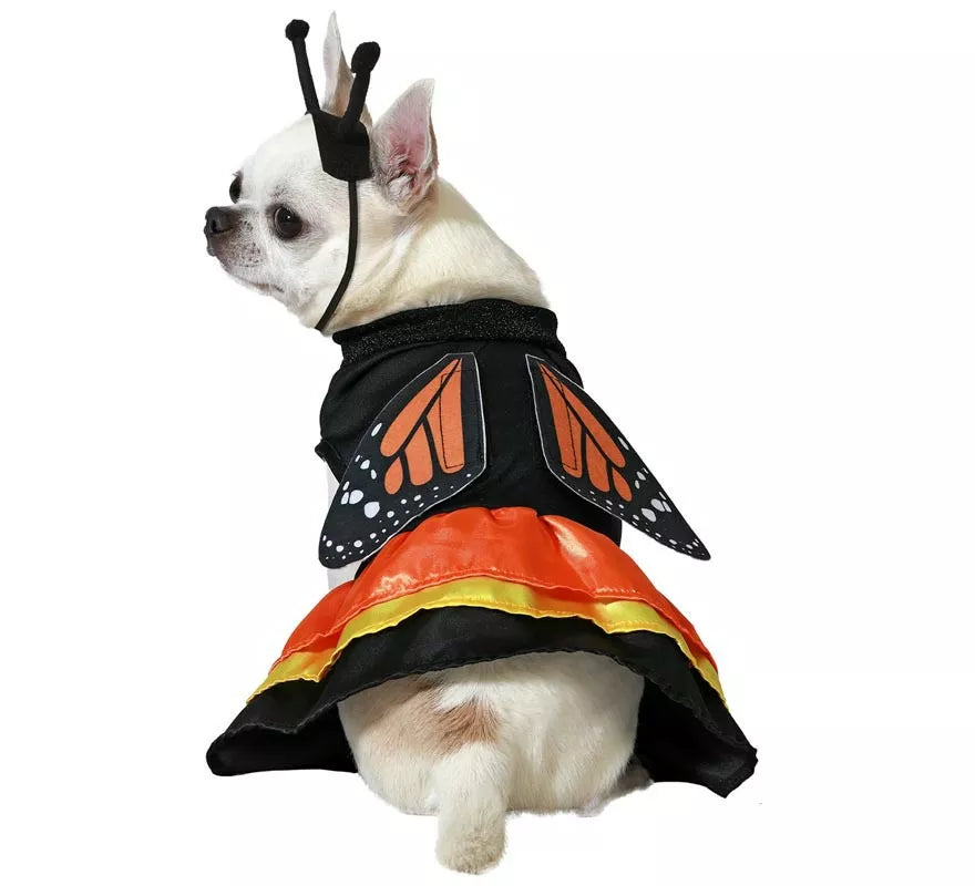 Translation missing: es.Disfraz de Mariposa para perro