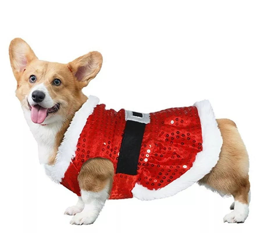 Translation missing: es.Disfraz de Papá Noel con lentejuelas para perro